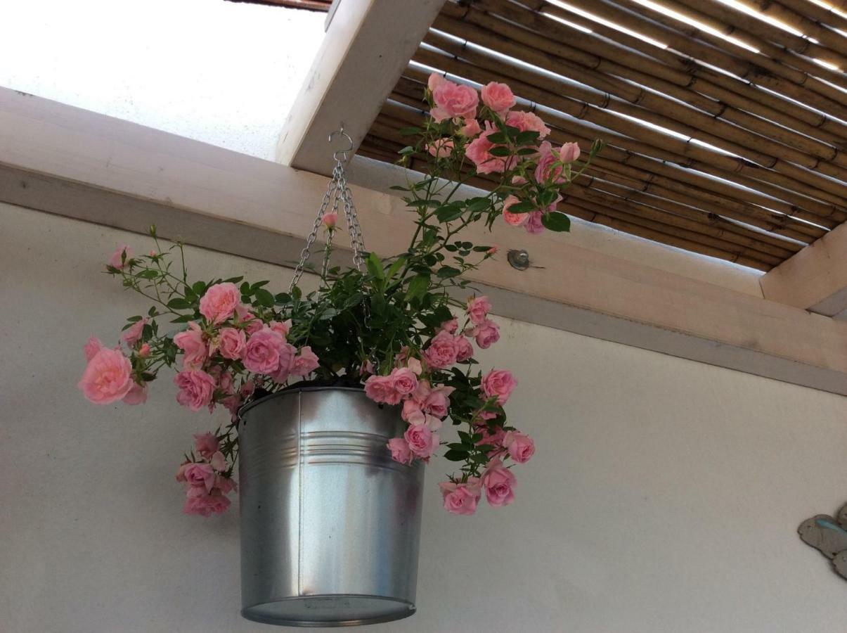 4 In Piazza Bed and Breakfast Sorso Buitenkant foto